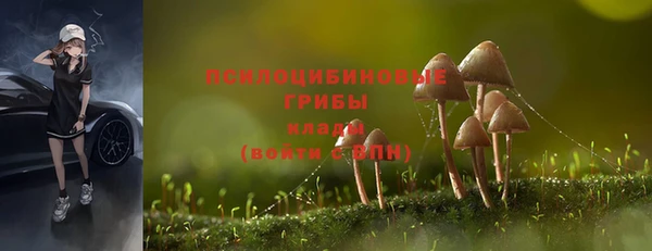 СК Арсеньев