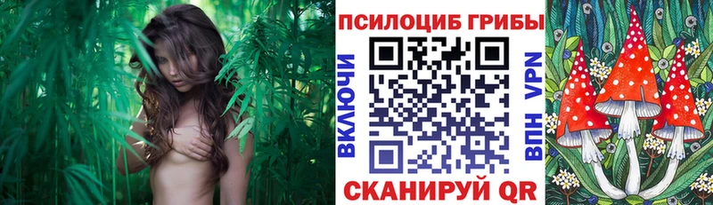 Псилоцибиновые грибы прущие грибы  купить закладку  Дегтярск 